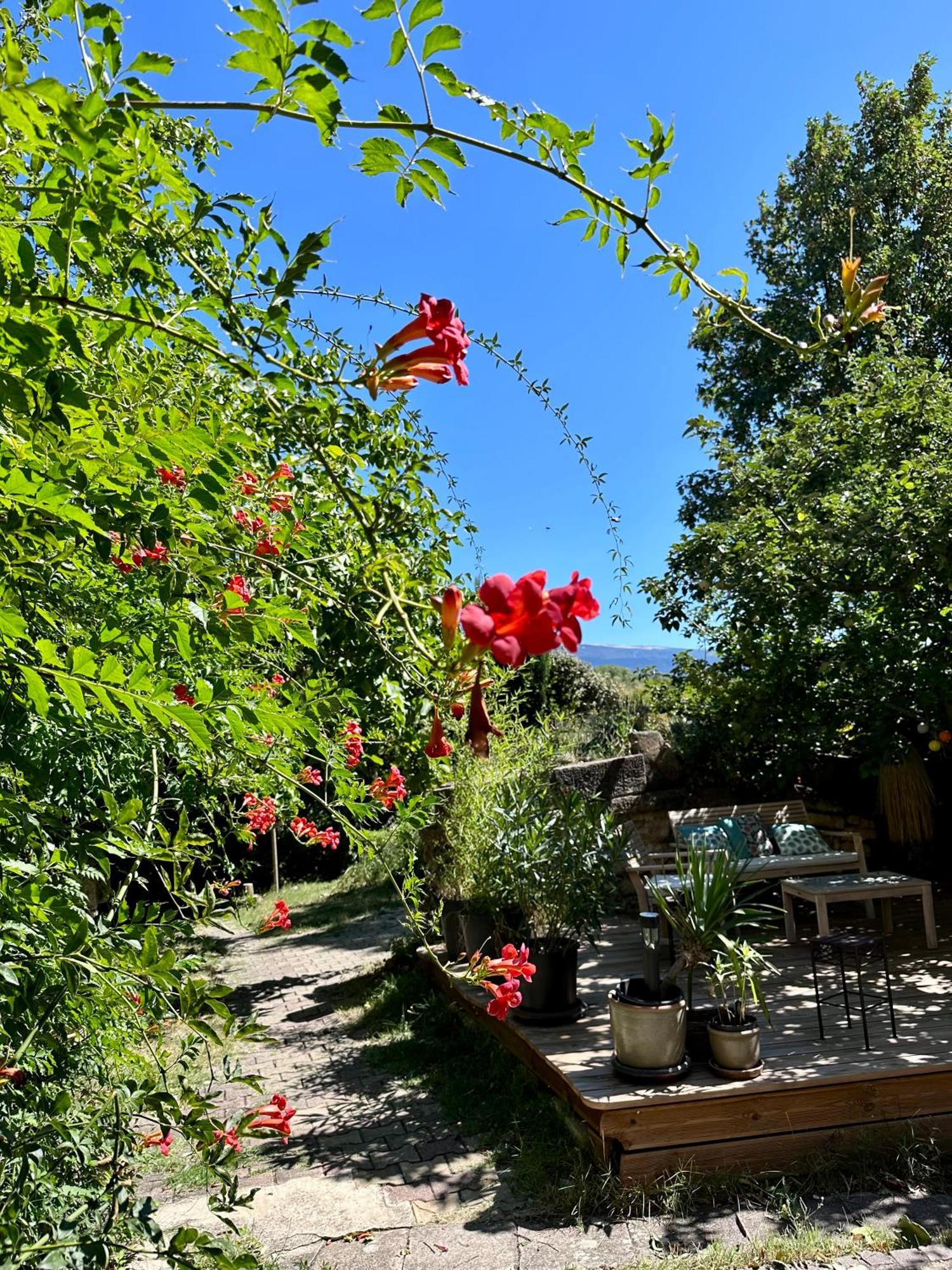 Moulin d'Antelon B&B Crillon-le-Brave Exterior foto